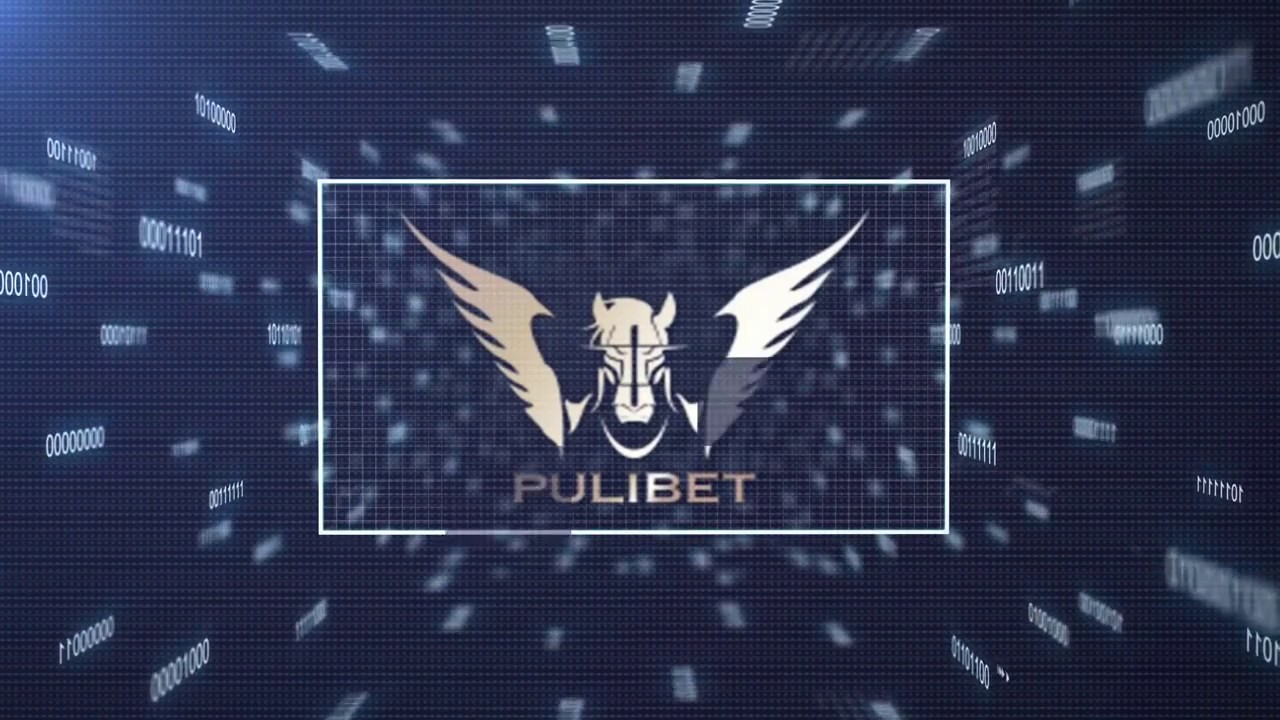 PULIBET GIRIŞ