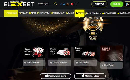 Elexbet Bahis