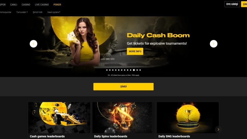 Bwin Giriş
